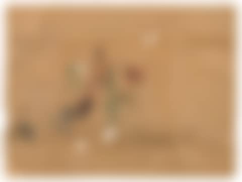 Têtes et divers griffonnages (preview)