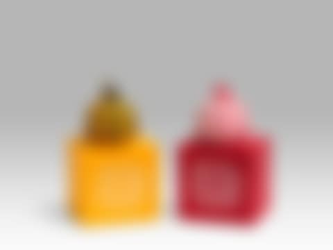 Lotto di due opere (preview)