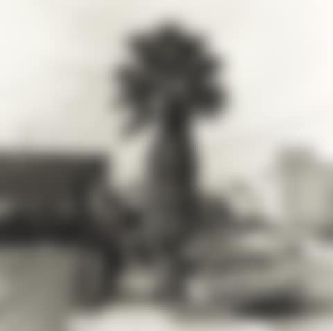 Palm Tree #1 (preview)