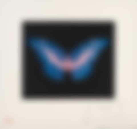 To Belong (preview)