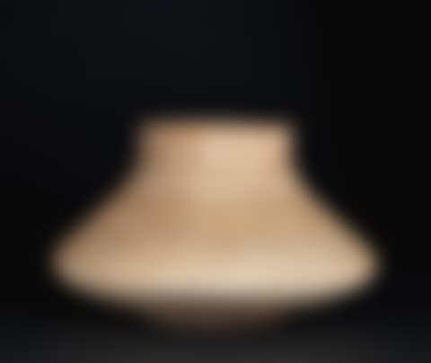 "Dogwood" Vase (preview)