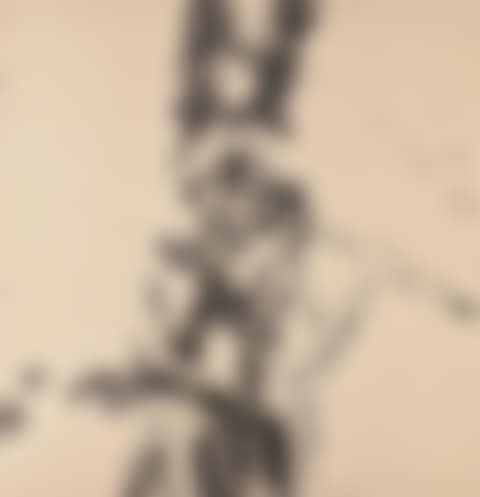 Sans titre (preview)
