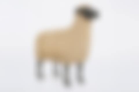 Mouton de Pierre (preview)