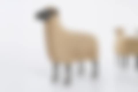 Mouton de Pierre (preview)
