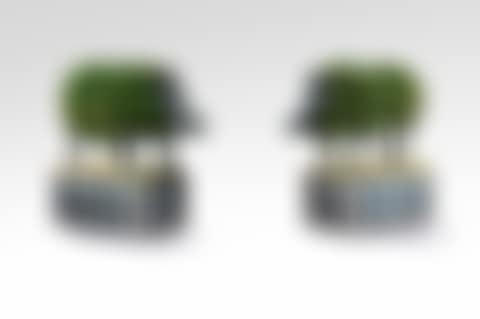 Paire de Sangliers topiaires (preview)