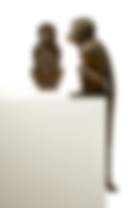 Singe SI et Singe SII (preview)