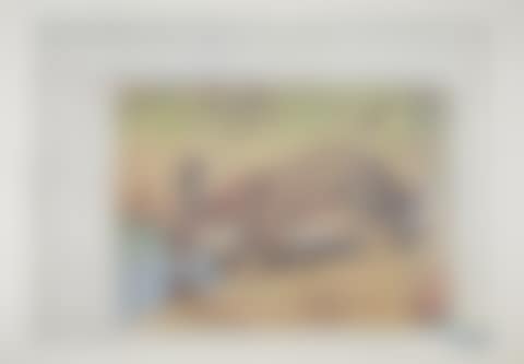 Amerikanischer Hasenzucker (preview)