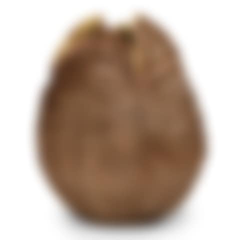 Production Used "Ovomorph" Prop Hatchling Egg from Alien Vs. Predator. (preview)