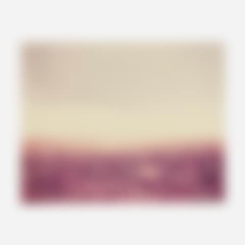 BF 2-81 (preview)