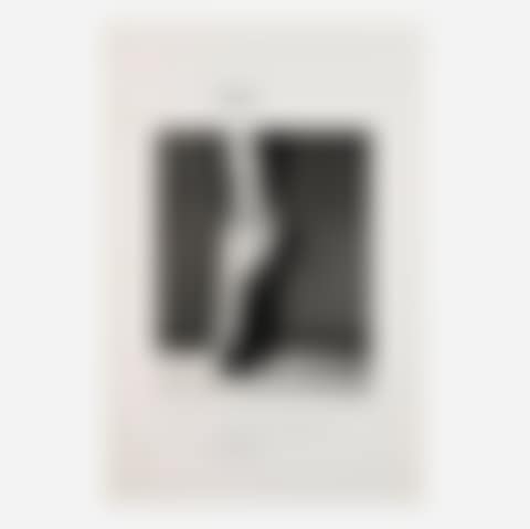 Rudolph Nureyev, En Pointe, New York poster (preview)