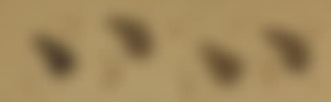Water Drops (preview)