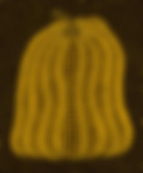 Pumpkin MT (preview)