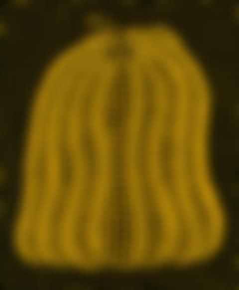 Pumpkin MT (preview)