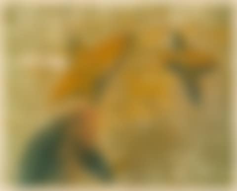Untitled (preview)