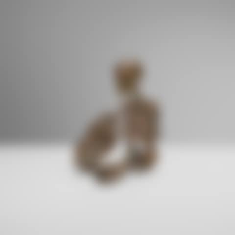 Memento Mori seated skeleton with horse skull (preview)