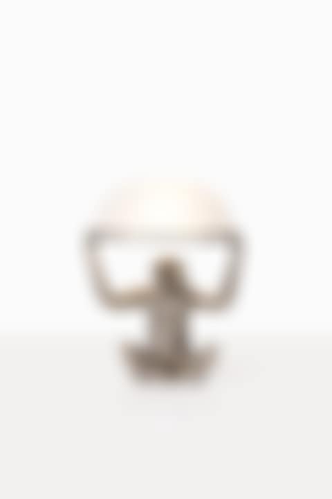 Singe allumé lamp (preview)