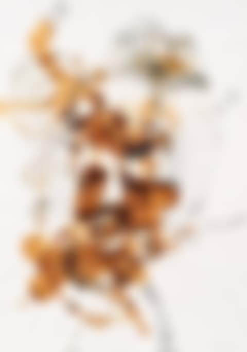 Wünsche (preview)
