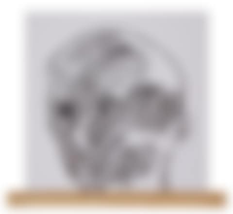 Untitled (preview)