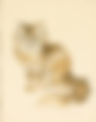 Katze (preview)