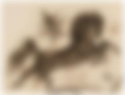 Springendes Pferd mit Stern (preview)