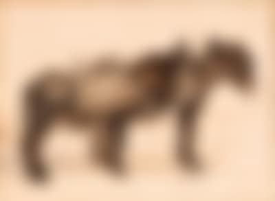 Zwei Maulesel (preview)
