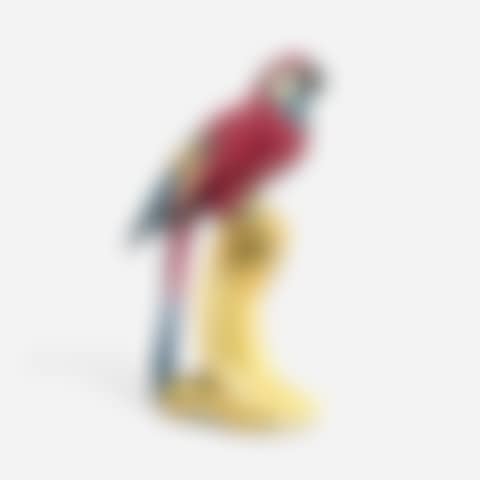 Brighton Parrot flower frog (preview)