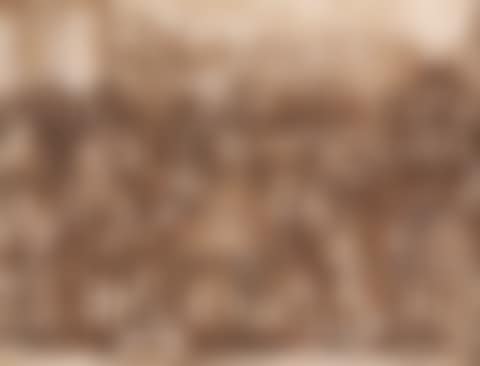 Recto: Julius Caesar preferring his Agrarian Law
Verso: A partial male figure study and a study of a kneeling child with clasped hands (preview)