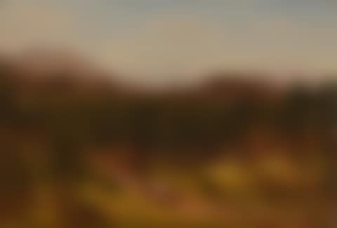 A Mountain Trail, Colorado (preview)