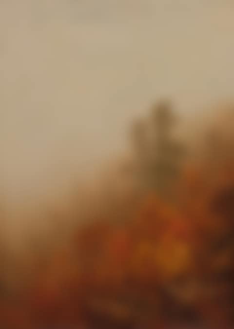 A Foggy Autumn Morning in the Mountains, A Sketch (preview)