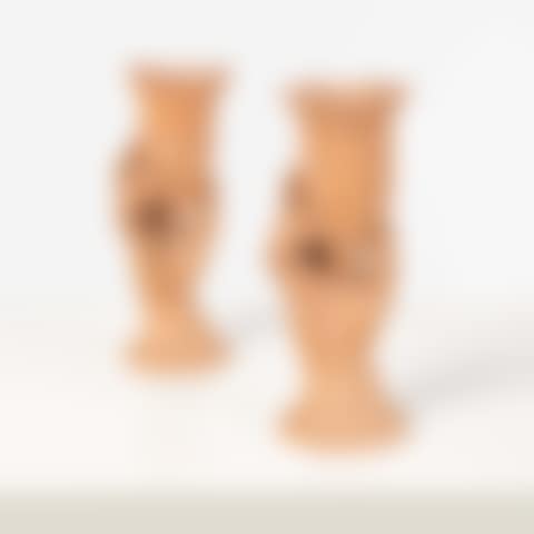 Pair of hands holding a tulip (preview)
