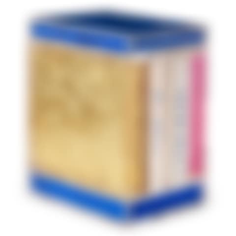 Catalog Raisonné of Editions and
Sculptures (preview)