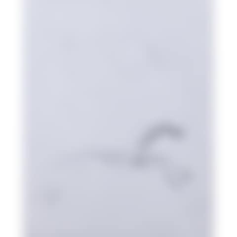 Galloping horse (preview)