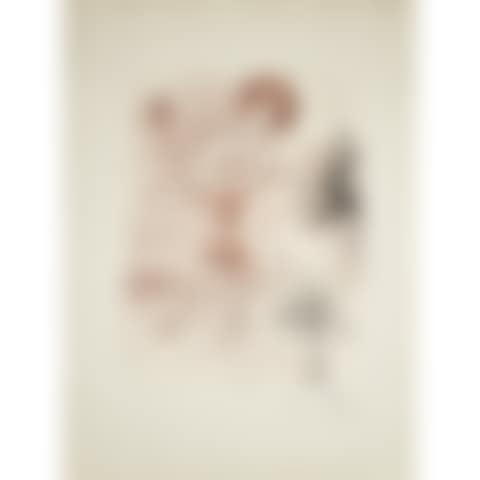 Narcissus; Plate 9 of the “Myhtologie” suite (preview)