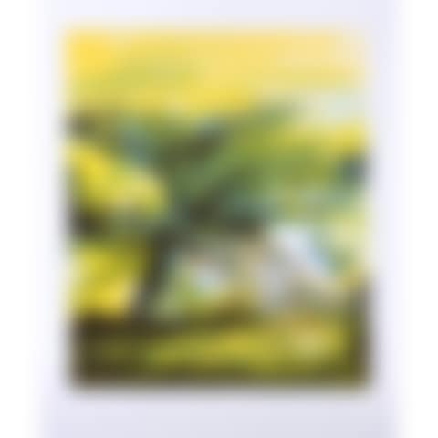 Spring (preview)