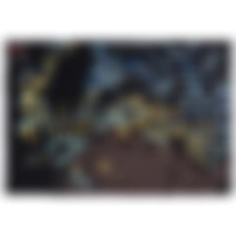 Le Paon (preview)
