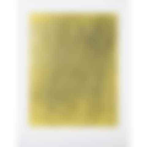 G 1973-13, from the portfolio "Requiem for the end of times" (preview)