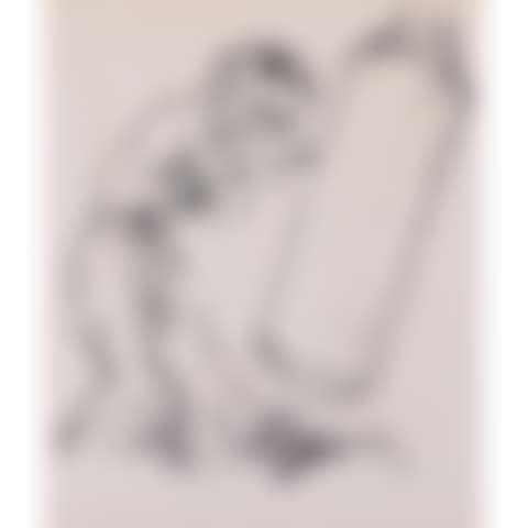 The boxer (preview)