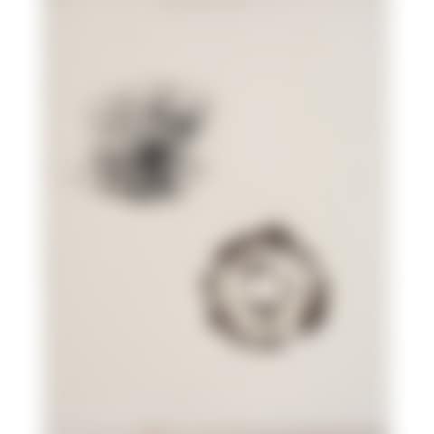 Magnetic Field (preview)