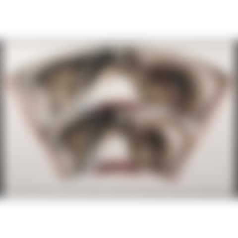 Chips, Chrome # (preview)