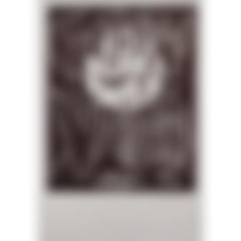 Vallauris Exhibition (preview)