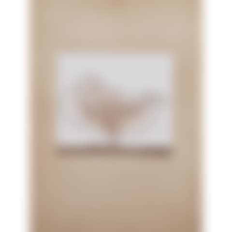 The duck (preview)