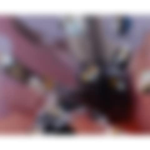 Vendange (preview)
