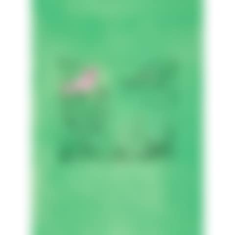 Pan (preview)