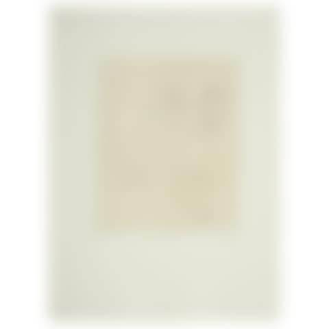 Singe au miroir (preview)