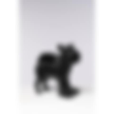 Cloned Griffon Bruxellois with pet bottle (black)
 (preview)