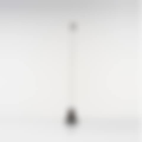 Signal (preview)