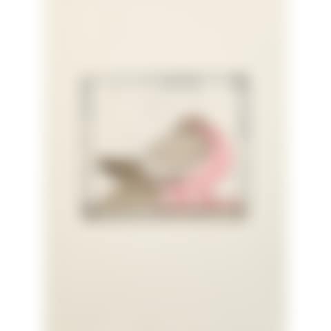 Le pigeon (preview)