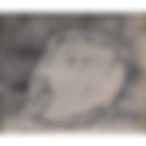 Faces: profi 2 (preview)