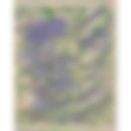 Asparagus (for Francis Ponge); Double-sided work (preview)