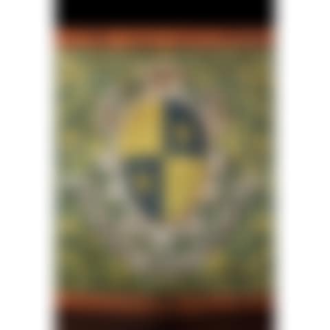 Polychrome wooden box decorated with foliage
yellow on a green background; lid decorated in the center
coat of arms quartered gold and azure with a golden lozenge
and (preview)